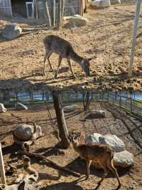 西安|周邊度假必去！住農場酒店、看落日夜景，露營超快樂