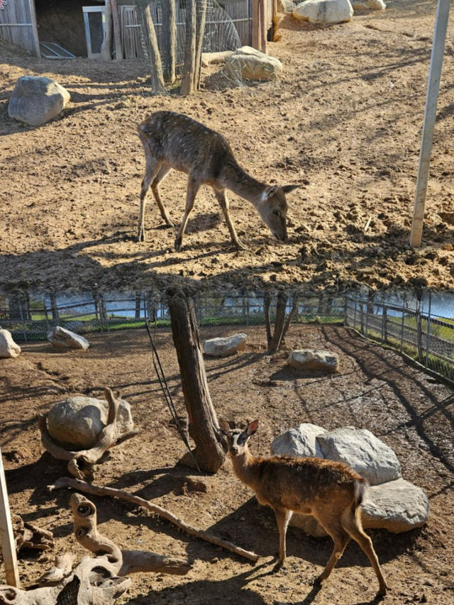 西安|周邊度假必去！住農場酒店、看落日夜景，露營超快樂