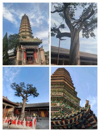 I heard that most visitors to Linfen come for Guangsheg Temple and Hongdong Dahuaishu! The Ji Hotel Linfen Zhongdajie store I stayed at this time offers excellent value for money, even my