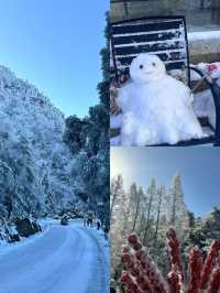 南方人狂喜闖進廬山冰雪世界