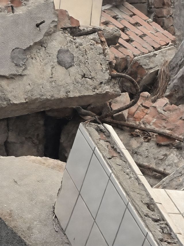 台北1天冬天來玩簡直太值啦 台北1天冬天來玩簡直太值啦