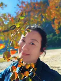 桂林陽堤隱藏款！原來「月光烏桕」的浪漫和月