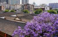 昆明值得推薦的酒店～吃喝玩樂不耽誤…