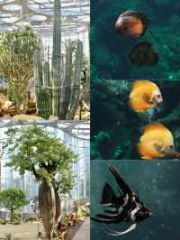 以為海洋館夠絕了，直到闖進上海這片水底森林