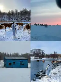 阿爾山輕奢小眾路線攻略雪景童話世界