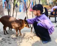 普通票廣州長隆大馬戲C位攻略