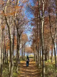 愛回收|來大理直接複製這條洱海一日遊路線!