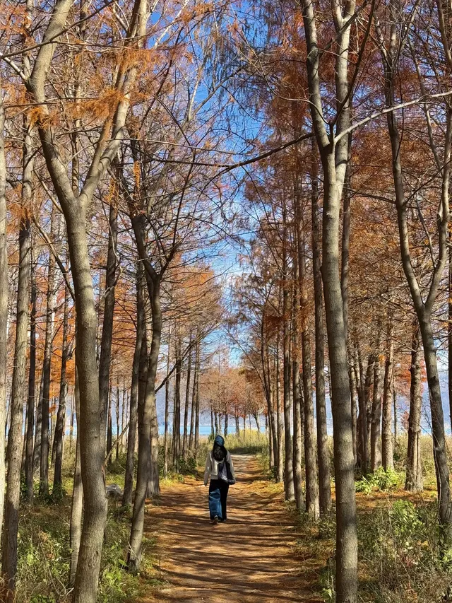 愛回收|來大理直接複製這條洱海一日遊路線! 愛回收|來大理直接複製這條洱海一日遊路線!