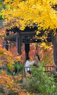 不是蘇州園林，是成都易園