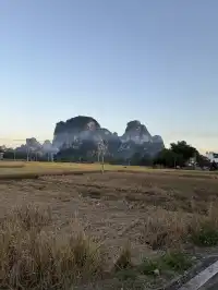 崇左明仕田園記憶