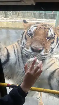 欒川不止老君山