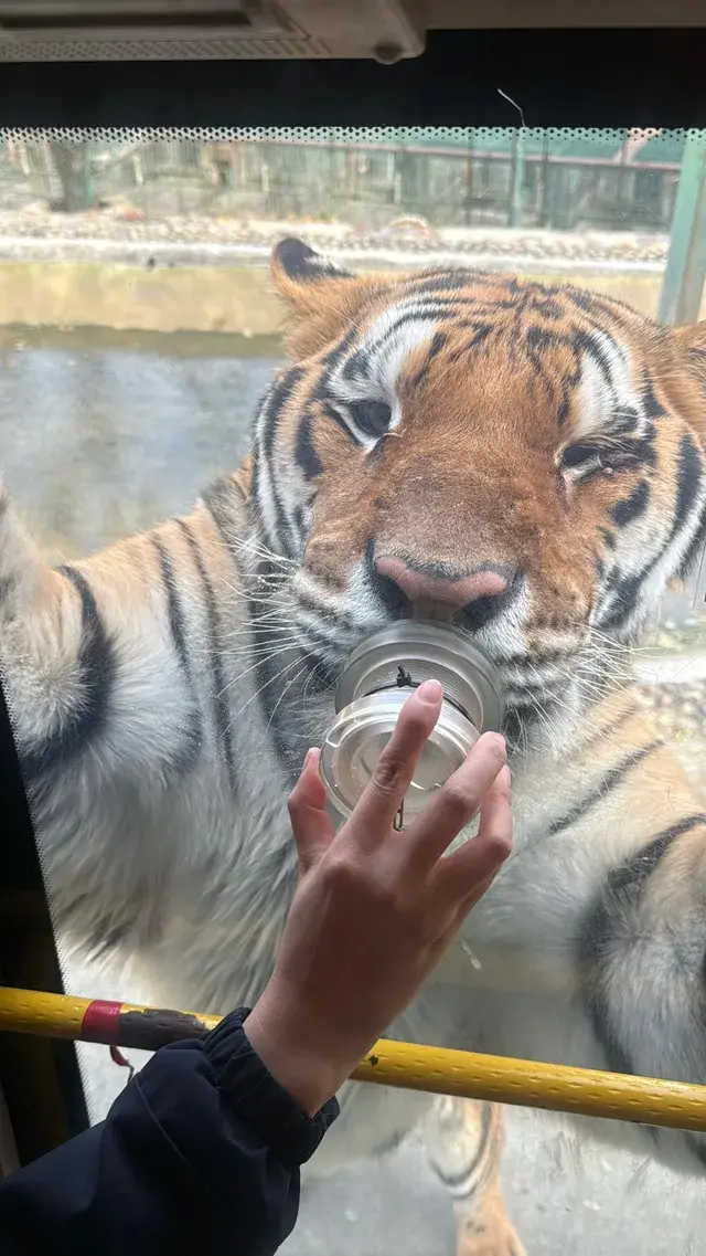 欒川不止老君山 欒川不止老君山