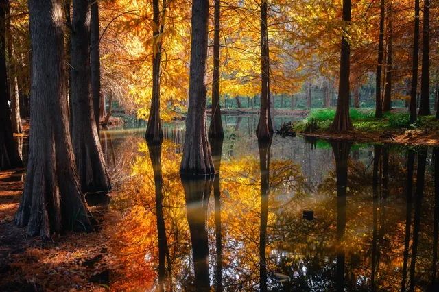 連夜來到南京只為拍到這幾張