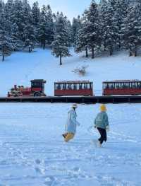 準備好來仙女山玩雪了嘛