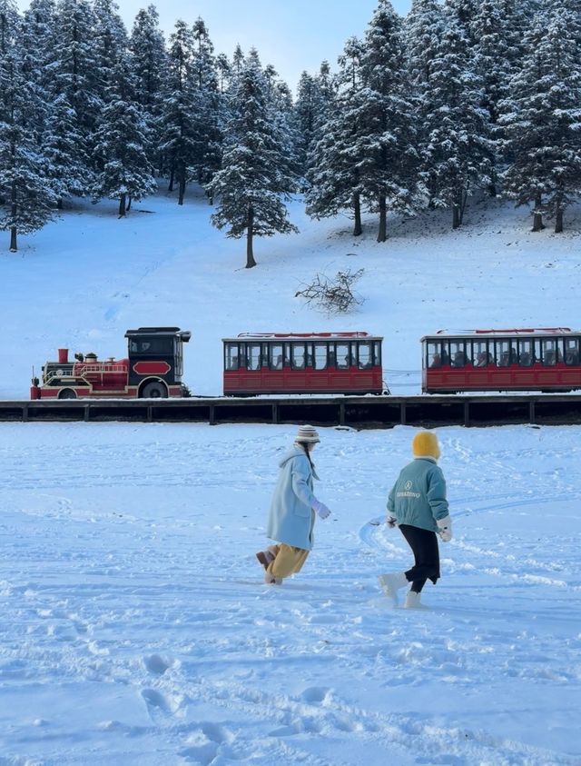 準備好來仙女山玩雪了嘛 準備好來仙女山玩雪了嘛