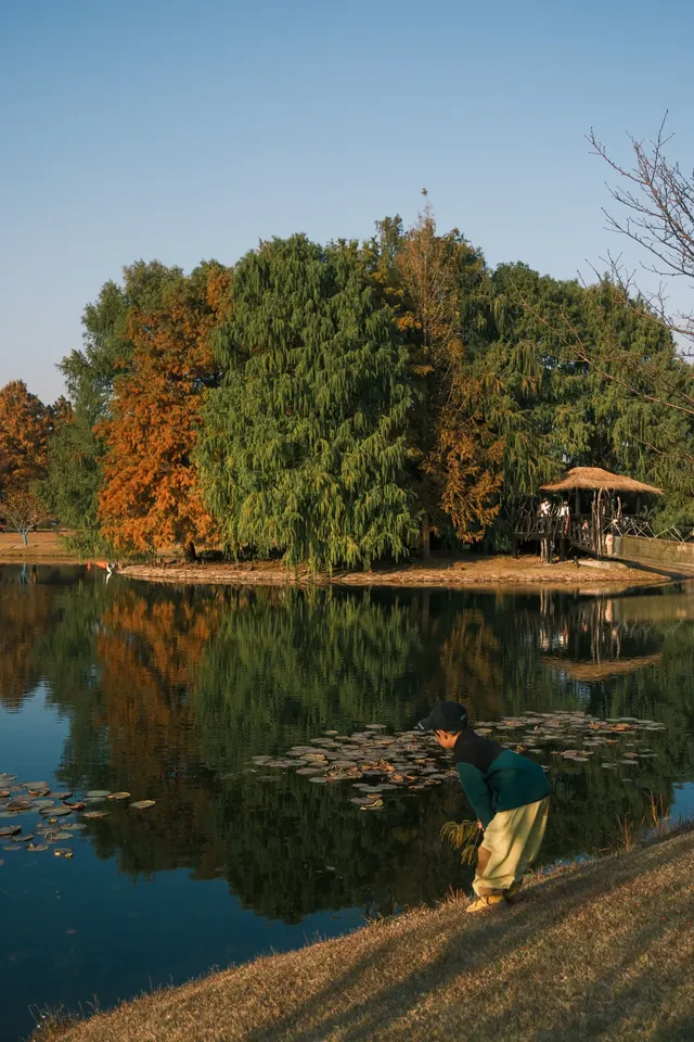 上海辰山植物園|去過超十次,還是想去! 上海辰山植物園|去過超十次,還是想去!