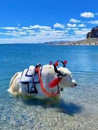 西藏6天5晚·輕奢旅拍小團