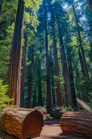 カリフォルニア版の国立公園ランキング