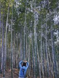 上海|秋冬這裡簡直太美了吧!