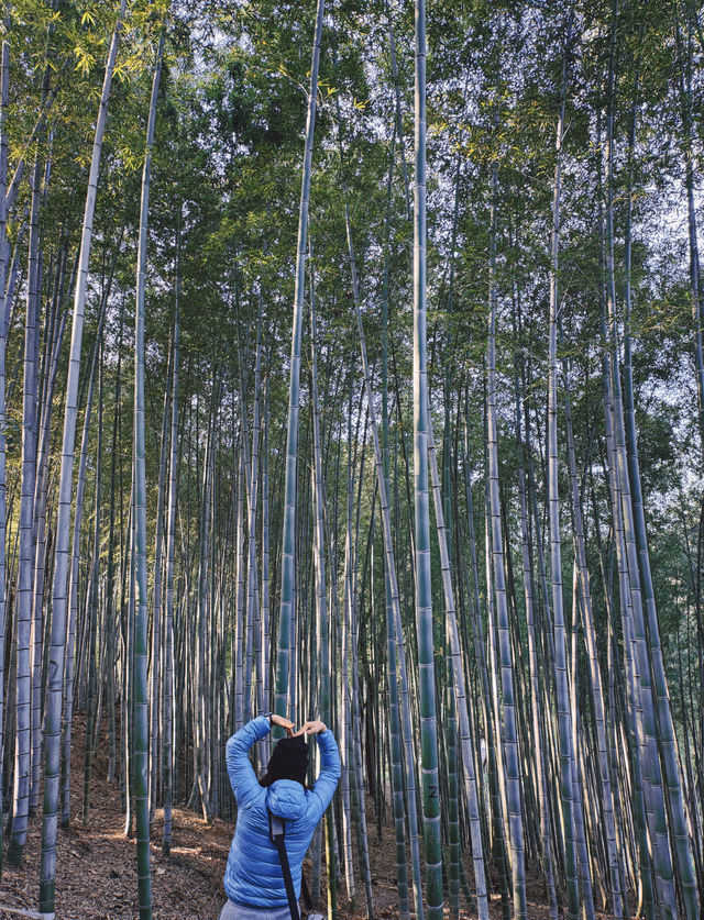 上海|秋冬這裡簡直太美了吧! 上海|秋冬這裡簡直太美了吧!