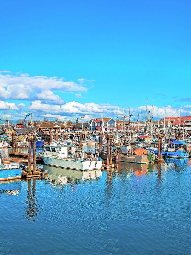 加拿大包車遊冬天限定美景全收 加拿大包車遊冬天限定美景全收