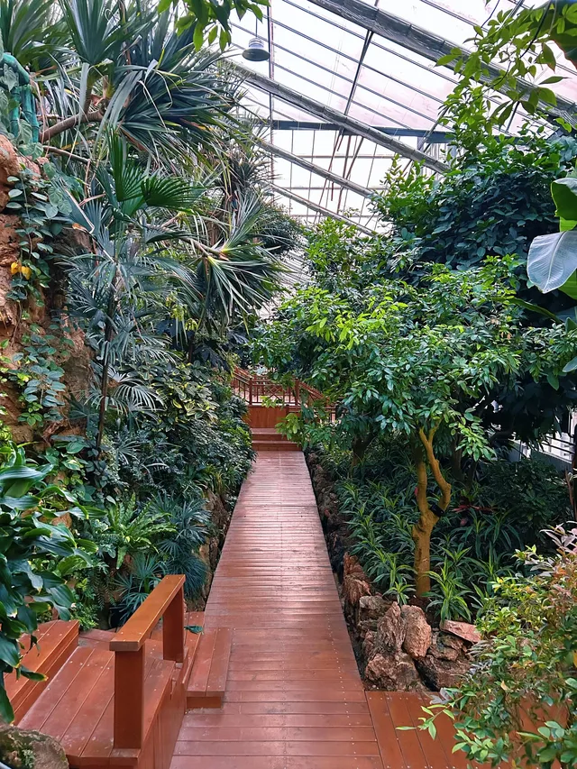 湖北新生旅遊年卡武漢植物園全攻略