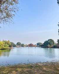 尚湖秋日醉美秘境