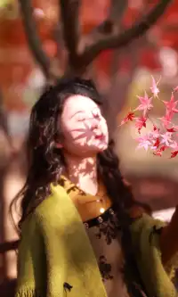 你在人潮擁擠的西湖邊,我在花開海上紅楓自由自在