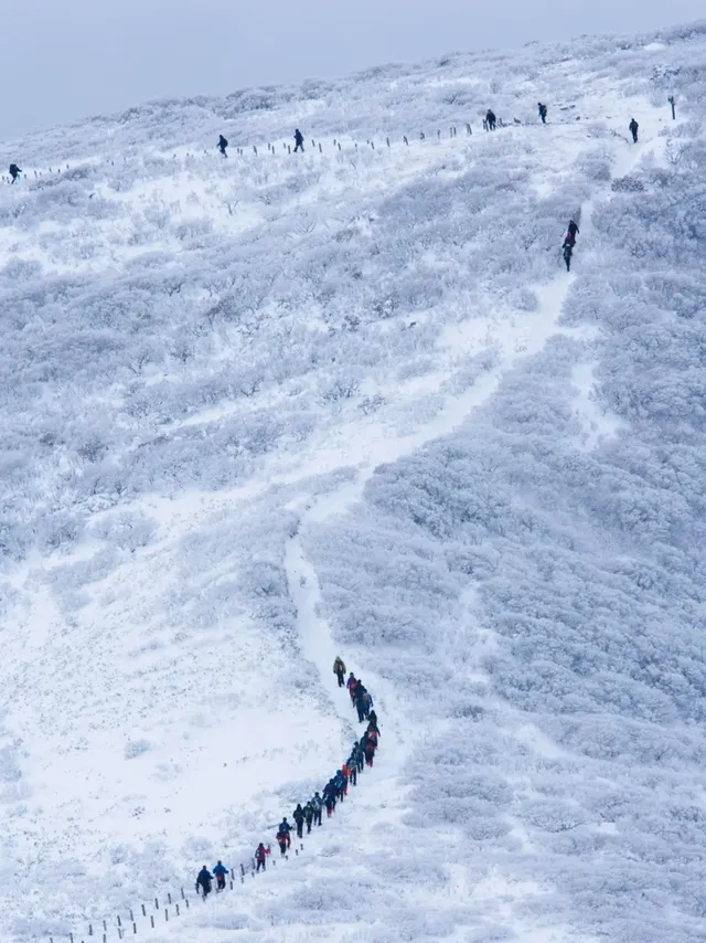 武功山下雪預警!開始期待今年的白色武功山 武功山下雪預警!開始期待今年的白色武功山