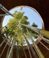 深圳私藏天空之鏡,99%人不知道