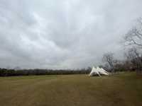 藏在上海的仙蹤之境!海灣國家森林公園美成童話世界