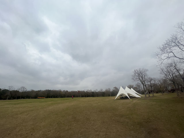 藏在上海的仙蹤之境!海灣國家森林公園美成童話世界 藏在上海的仙蹤之境!海灣國家森林公園美成童話世界
