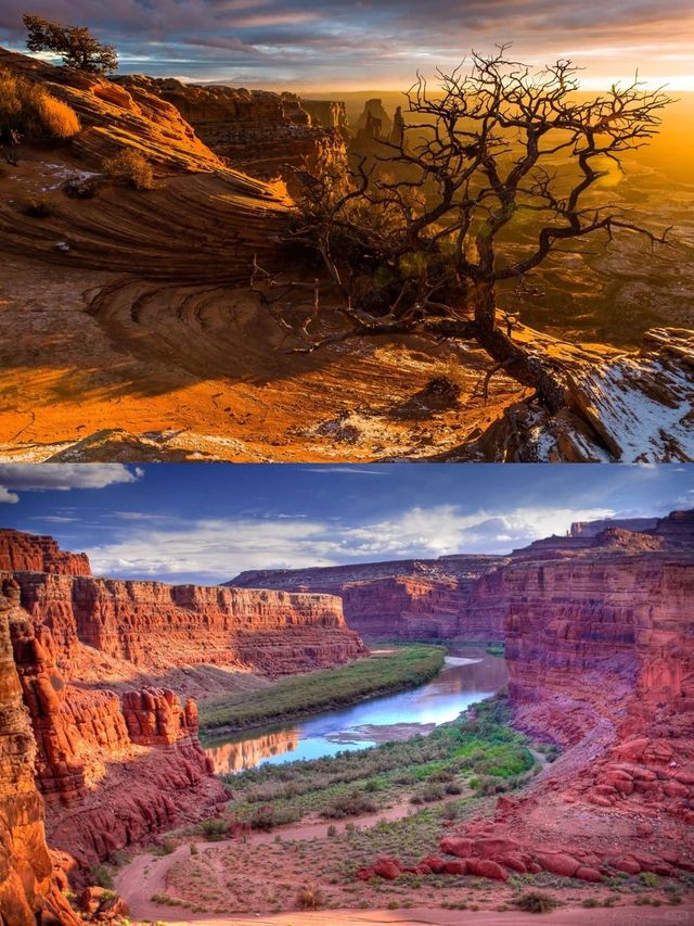 美國1日包車遊｜景點全覆蓋超省心