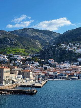 การเผชิญหน้าโดยบังเอิญกับแมว 100 ตัวบนเกาะแมว | ทริปเที่ยวเกาะไฮดราหนึ่งวัน