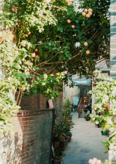 2026 Latest Anhui Guoyang Couples Travel Guide