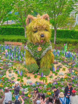 Finally met the top star of the Shanghai International Flower Festival and its prototype