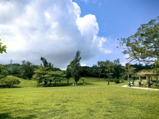 我在浦添森林公園收集六月的柔霧