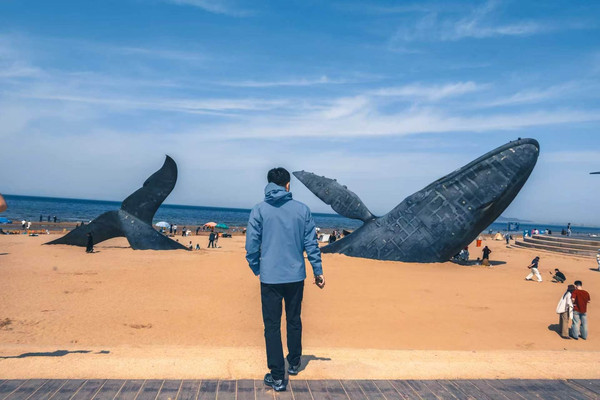 煙台の孤独なクジラ｜深海へ向かう唯一無二のロマンス | Trip.com 煙台