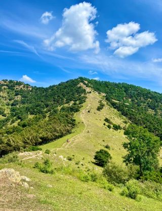 沈陽法庫の隠れた高齢者向け癒しスポット 草原ハイキング＋山景チェックインが最高！