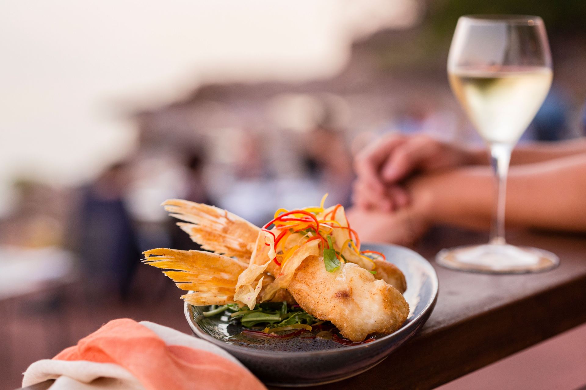 Experience the wilderness revelry and coastal charm of Darwin