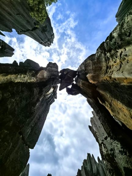 Kunming Stone Forest Scenic Area ultimate travel guide｜Billion