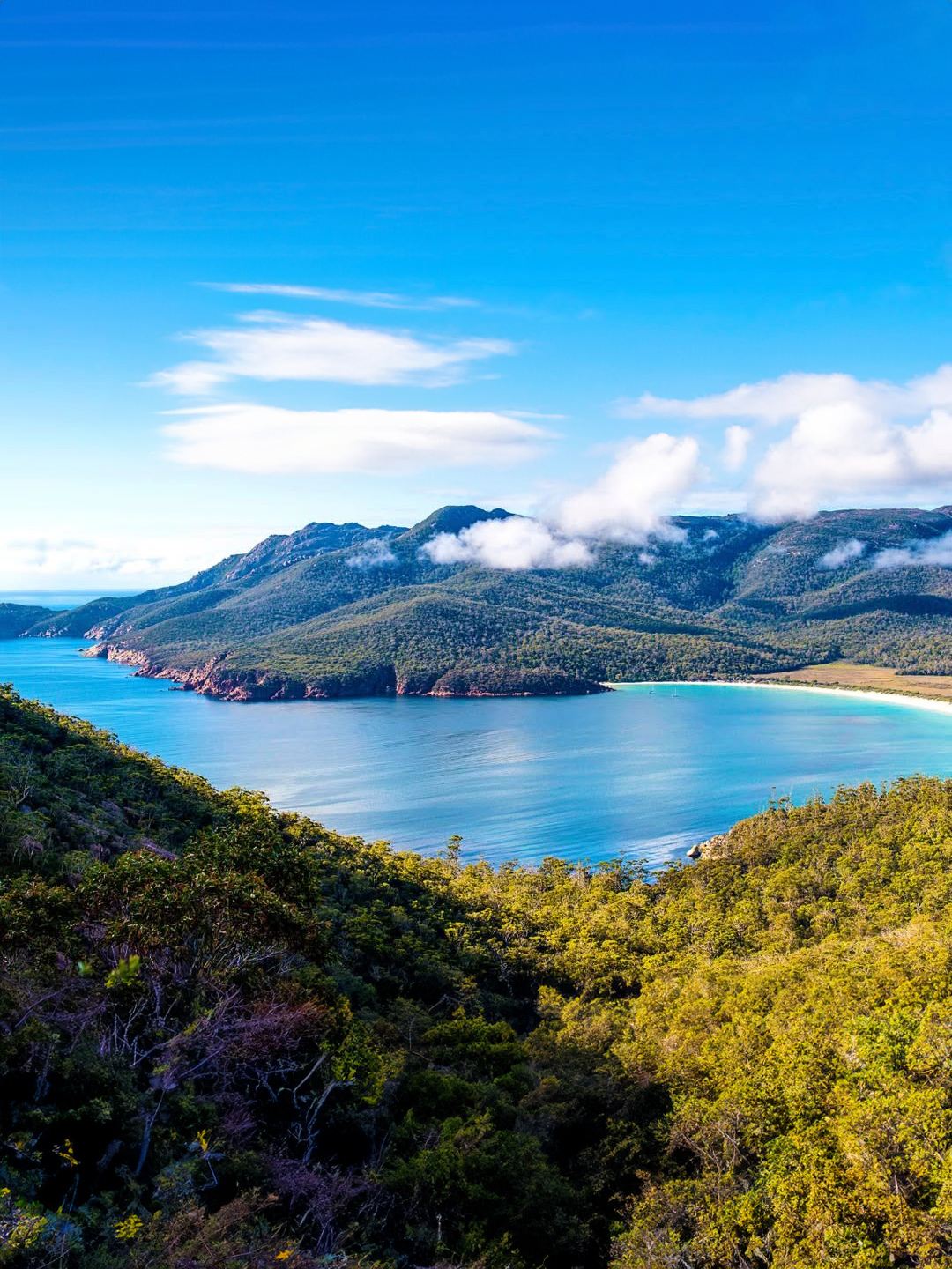 Private charter with Chinese-speaking driver-guide! Explore Tasmania in depth