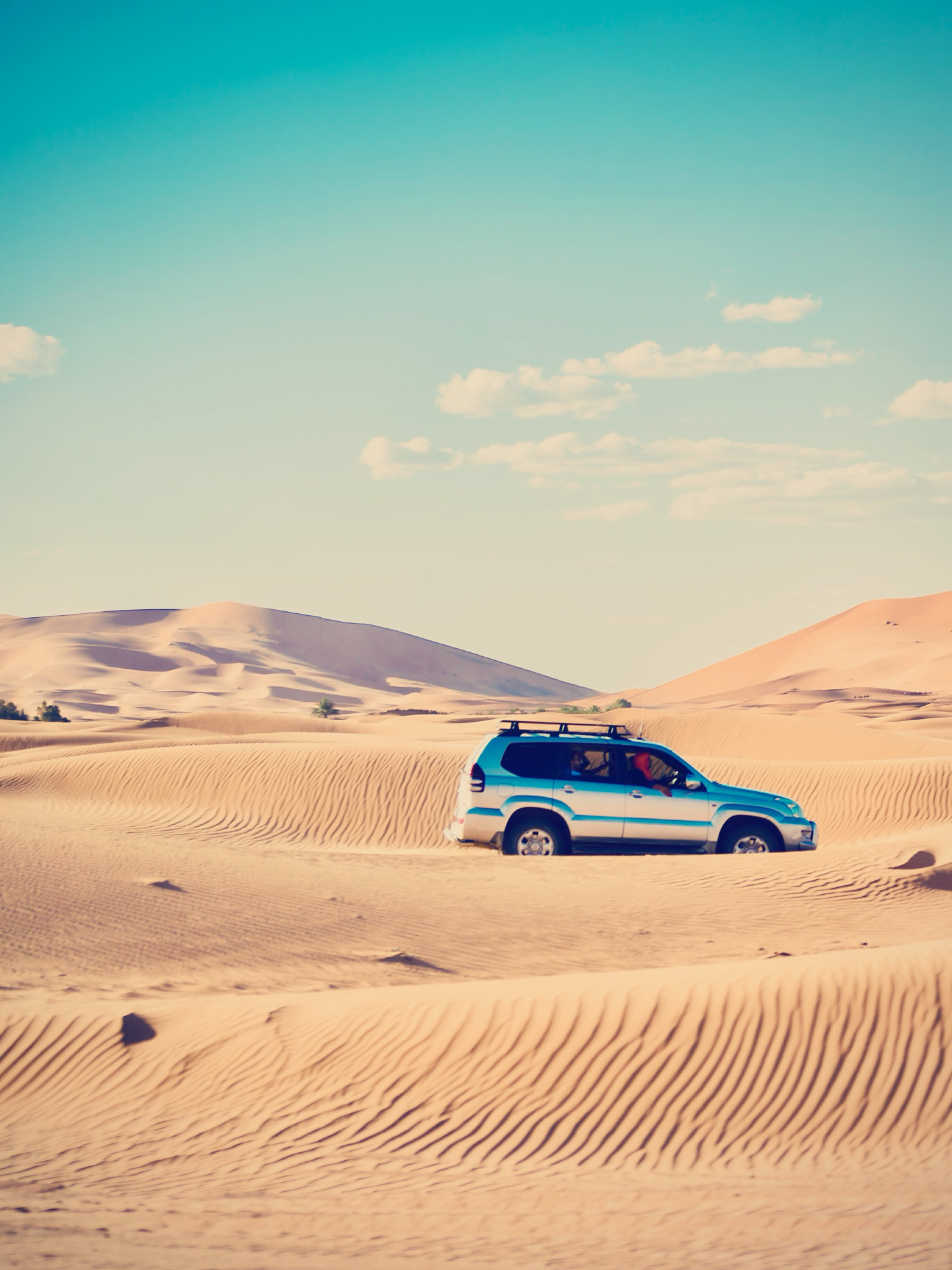 Ningxia Qingtongxia Yellow River Grand Canyon: Yellow River and Gobi Canyon Cruise