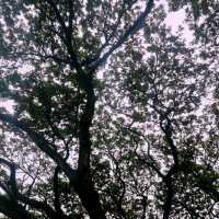 สวนเบญจกิติตามรอยซีรีส์ ฟิลเกาหลีเกาใจ