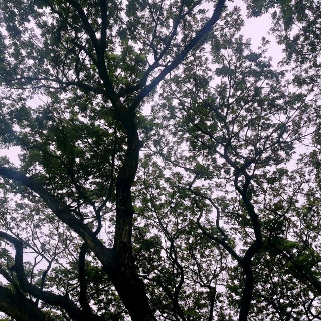 สวนเบญจกิติตามรอยซีรีส์ ฟิลเกาหลีเกาใจ