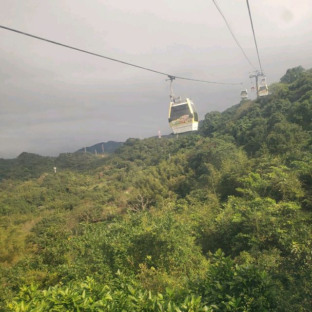 腳底發麻【台北文山】貓空水晶纜車之旅