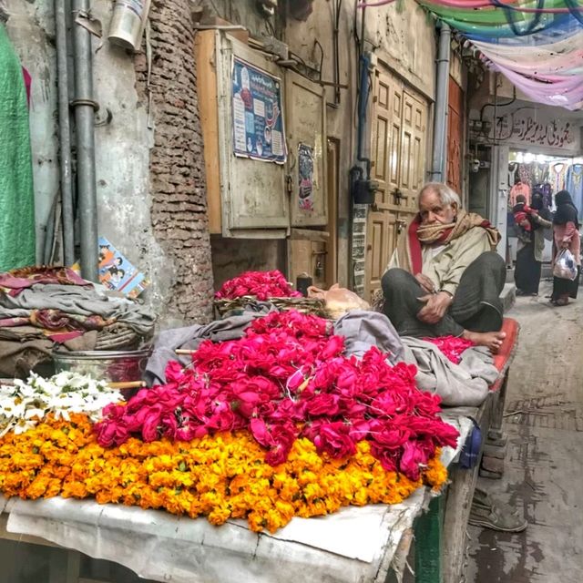 Exploring beautiful Lahore
