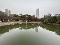 Green Lung in Downtown Kaohsiung 