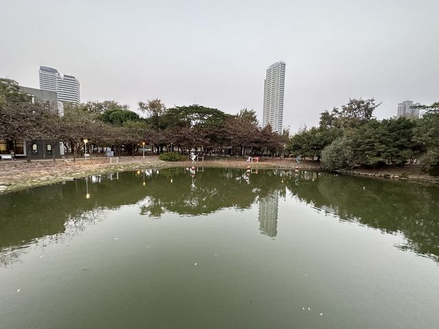 Green Lung in Downtown Kaohsiung 
