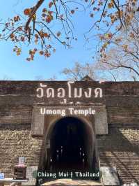 วัดอุโมงค์ สวนพุทธธรรม วัดสวยเชียงใหม่